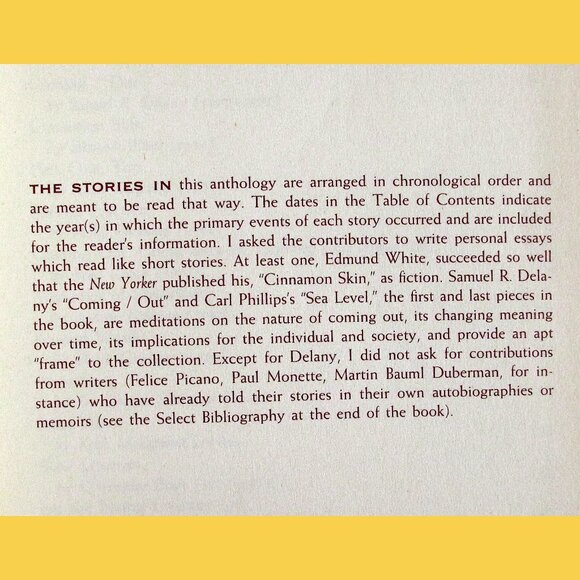 Book - Boys Like Us: Gay Writers Tell Their Coming Out Stories, ed Patrick Merla - Picture 11 of 15